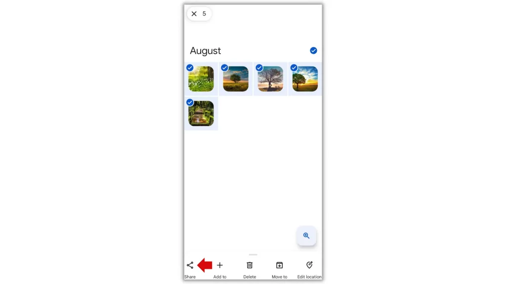 Google Photos app Share option 