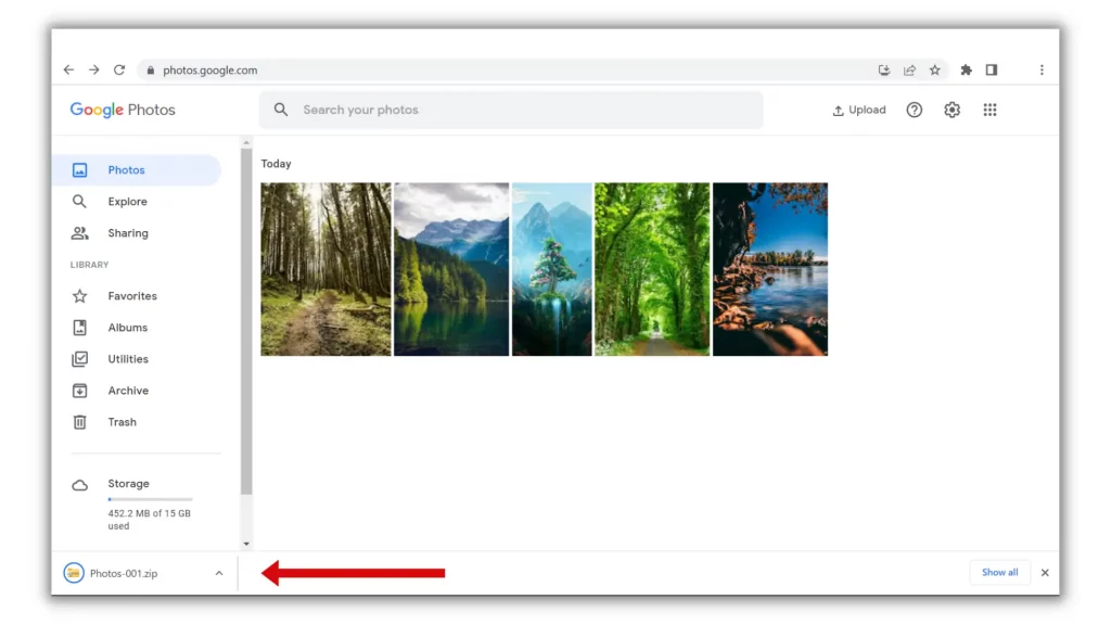 How to Download All Photos from Google Photos at Once from PC
