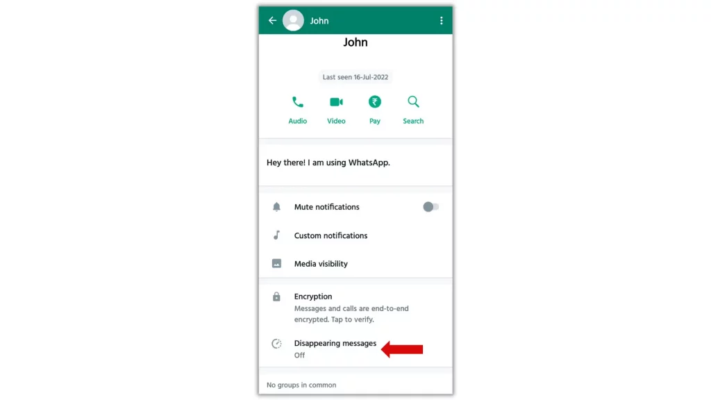 WhatsApp Mobile Contacts Info Page Disappearing Messages Option