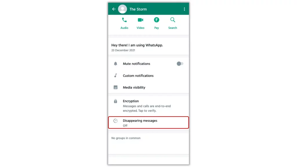 WhatsApp Mobile Group Chat Disappearing Messages Option