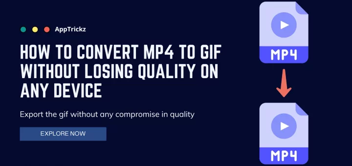 convert from mp4 to gif